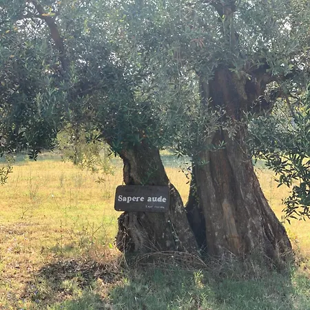 Dimora Del Filosofo * Velletri